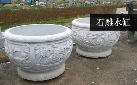 水缸魚(yú)缸