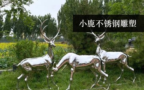 小鹿、梅花鹿、長(zhǎng)頸鹿